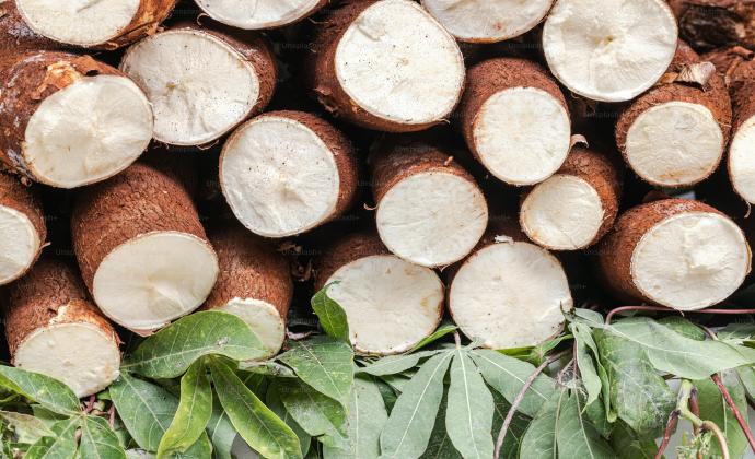 Project Gallery Image